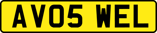 AV05WEL