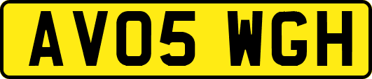 AV05WGH