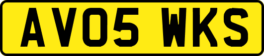 AV05WKS
