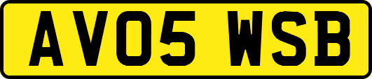 AV05WSB