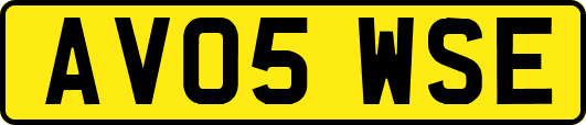AV05WSE