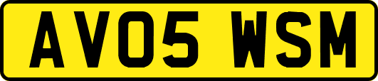 AV05WSM