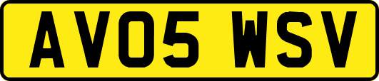 AV05WSV
