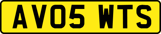 AV05WTS