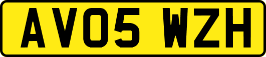 AV05WZH