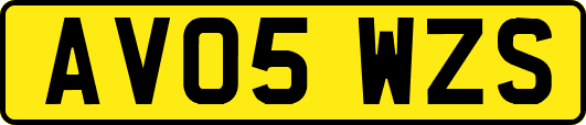 AV05WZS