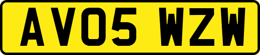 AV05WZW