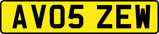 AV05ZEW