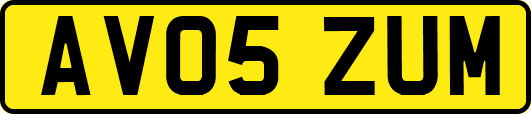AV05ZUM