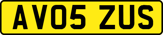 AV05ZUS