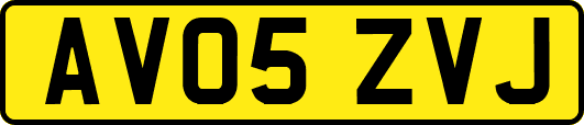 AV05ZVJ