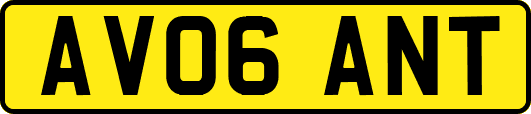 AV06ANT