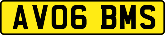 AV06BMS