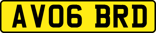 AV06BRD