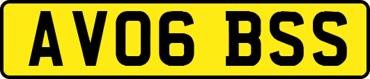 AV06BSS