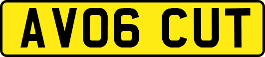 AV06CUT