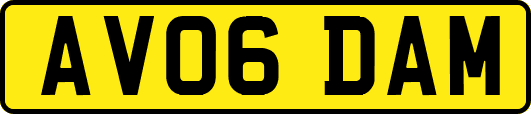 AV06DAM