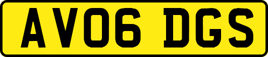 AV06DGS