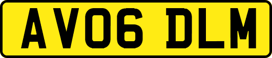 AV06DLM