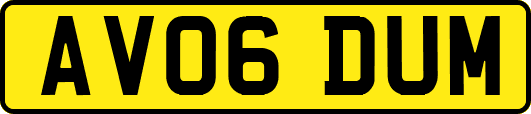 AV06DUM