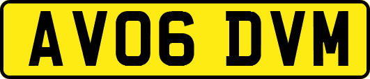 AV06DVM