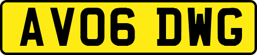 AV06DWG