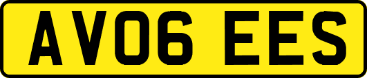 AV06EES