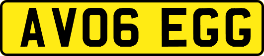 AV06EGG