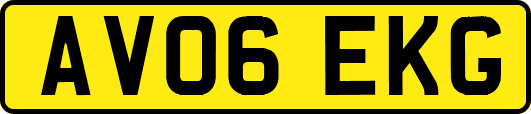 AV06EKG