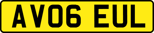 AV06EUL