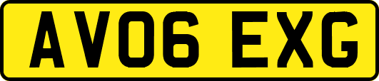 AV06EXG