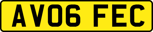AV06FEC