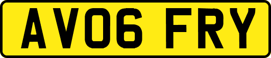 AV06FRY