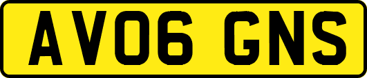 AV06GNS