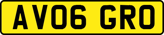 AV06GRO