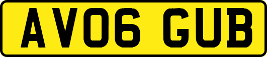 AV06GUB
