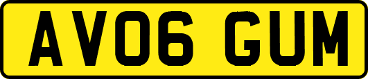 AV06GUM