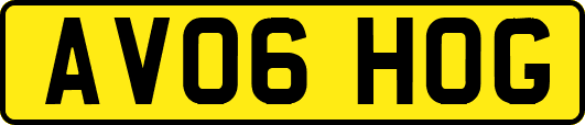 AV06HOG