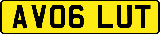 AV06LUT