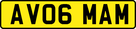 AV06MAM