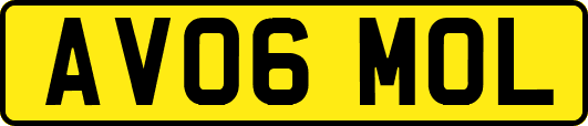 AV06MOL