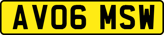 AV06MSW