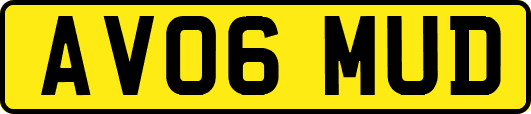 AV06MUD