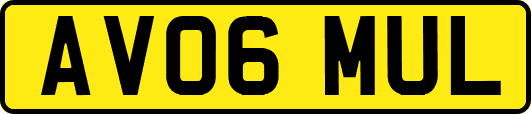 AV06MUL