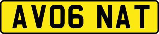 AV06NAT