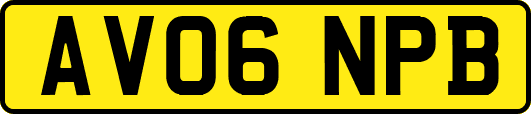 AV06NPB
