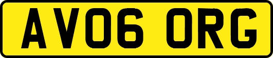 AV06ORG