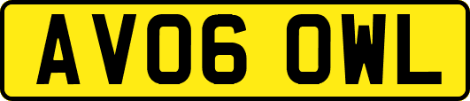 AV06OWL
