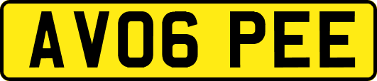 AV06PEE