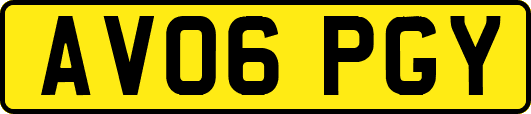 AV06PGY
